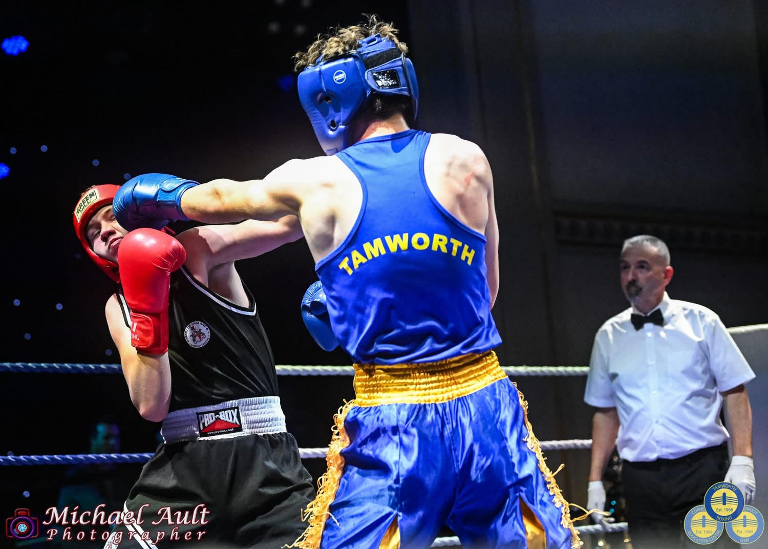 A Tamworth boxer in blue and gold scoring with the jab at a home show